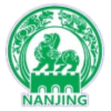Nanjing Team