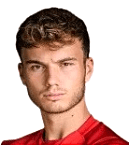 도미니크 Schwizer