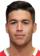 Victor Andres Meseguer Cavas