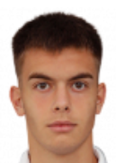 미하일로 페트코비치