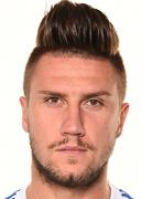 에르민 비카치치