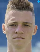 도미니크 Janosek