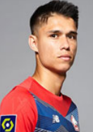 루이스 아라우조