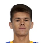 하비에르 도밍게스