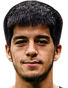 알리조니 아이니