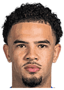 워렌 자이르-에머리