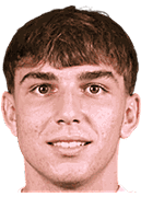 미하일로 크베트코비치