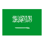Saudi Arabia B logo