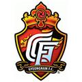 경남 FC logo