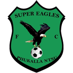 Super Eagles