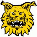 Y Ilves Women's