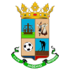 CD Ingenio logo