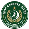 Valinhos EC U20 logo