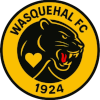 Wasquehal logo