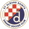 St Albans Saints(U20)