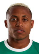 Paulo Vitor Fernandes Pereira