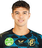 파트릭 Posztobanyi