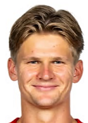 다비드 묄러 울프