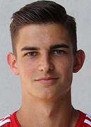 이반 미할레비치