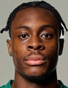 디케니-라피드 살리푸