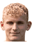 다니엘 van Vianen