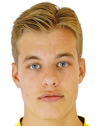 조엘 van der Wilt