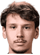 알렌 디자레비치