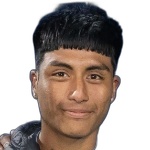 니콜라스 알파로