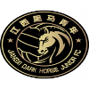 Jiangxi Dark Horse