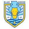 Blue Goose